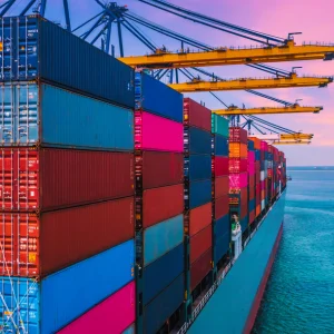 Weathering the Tariff Storm: Strategies for Investors in the Consumer Space