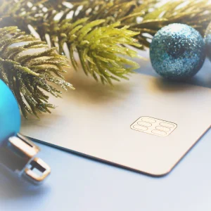 2025 Holiday Shopping Preview: Payment Flexibility Wins When Wallets Tighten