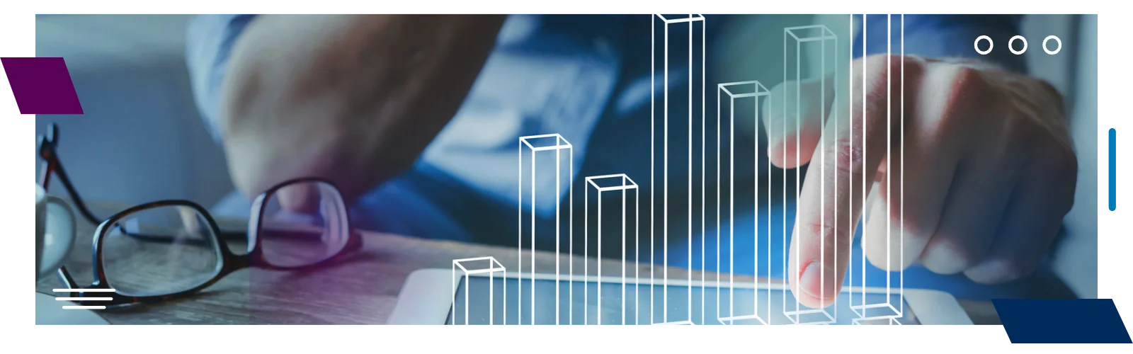 Institutional Investors